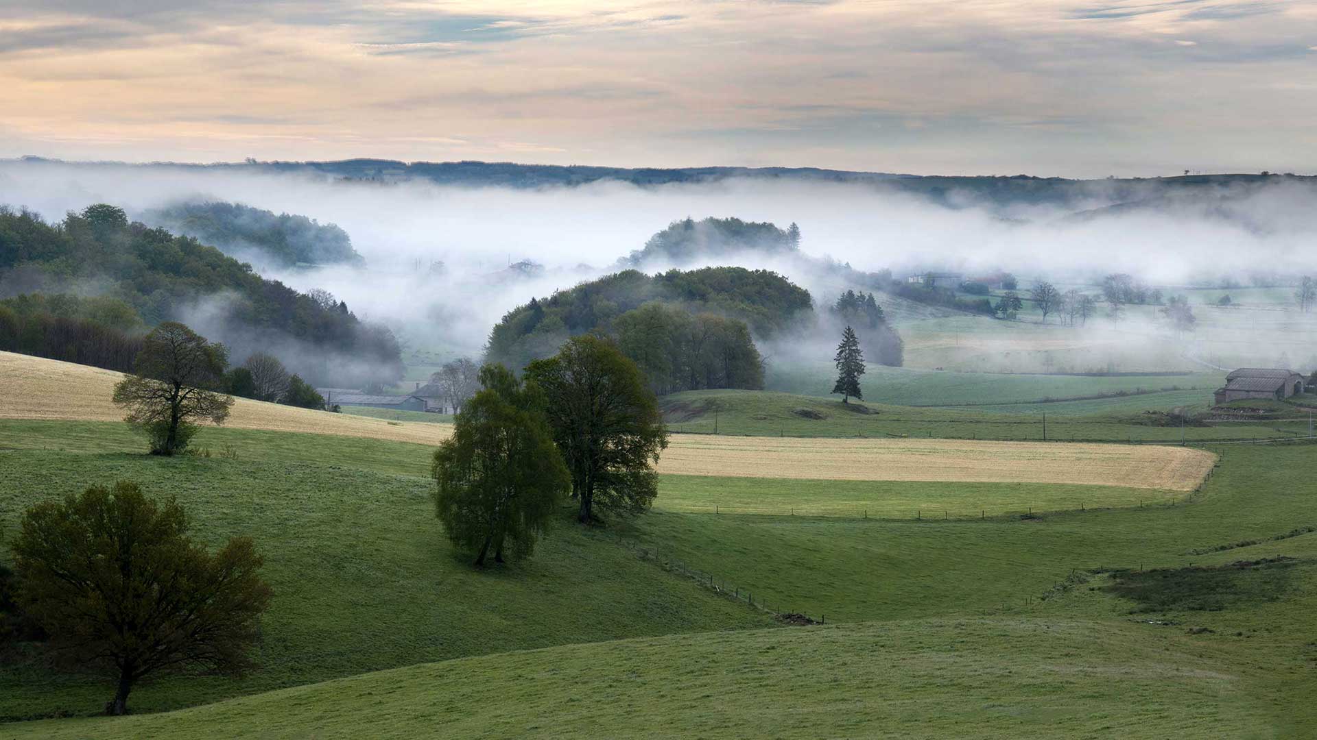 Bienvenue au Domaine d